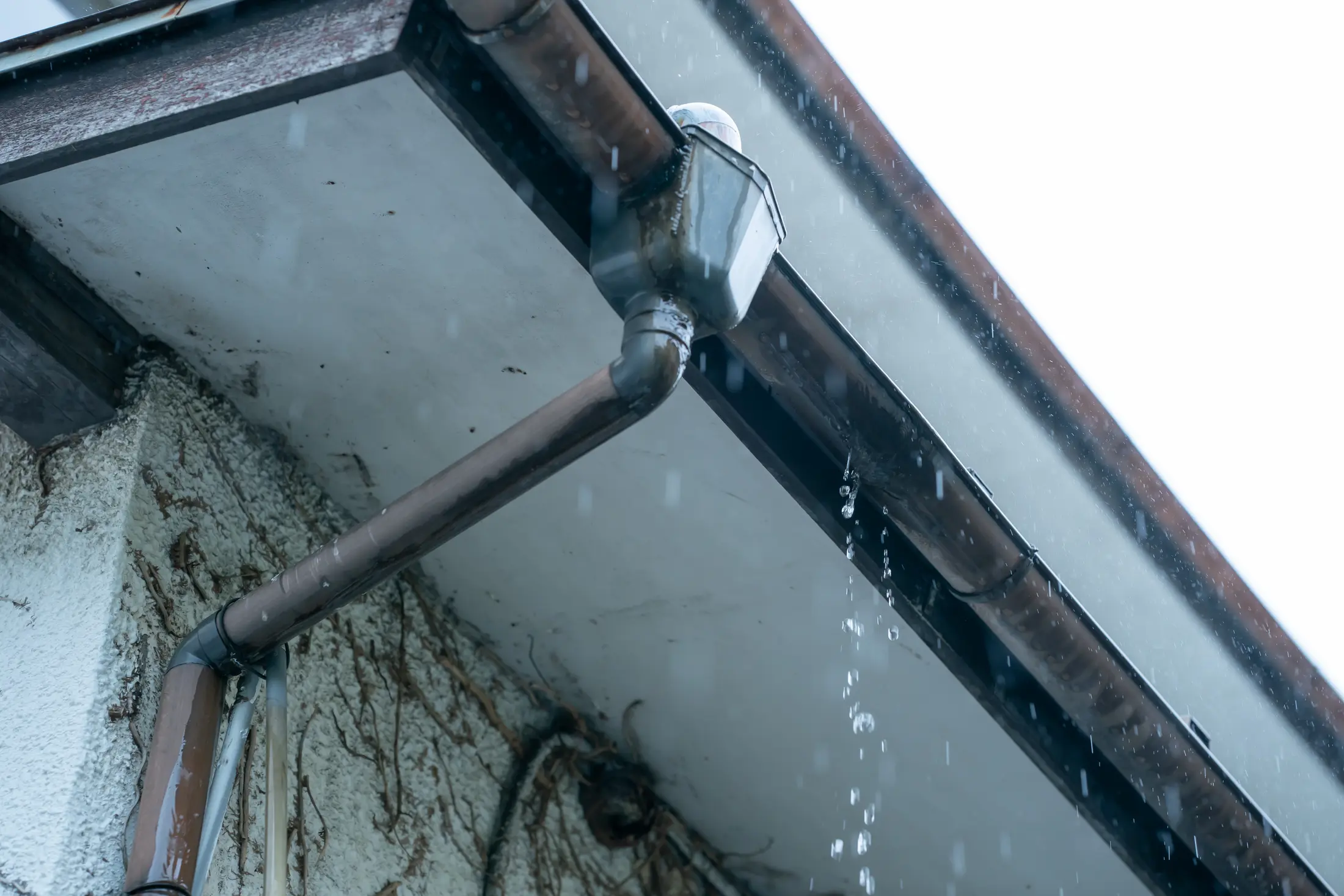 Erfahrene Techniker für Ihre Sanierung